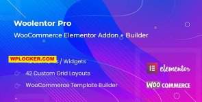 WooLentor Pro v2.2.8.jpg