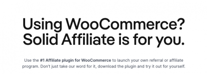 Screenshot 2023-11-17 at 11-43-56 Solid Affiliate - Affiliate plugin for WordPress.png