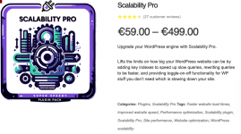 Screenshot 2023-11-22 at 15-32-14 Scalability Pro - Super Speedy Plugins.png