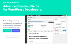 Screenshot 2023-12-04 at 13-58-11 ACF Advanced Custom Fields Plugin for WordPress.png