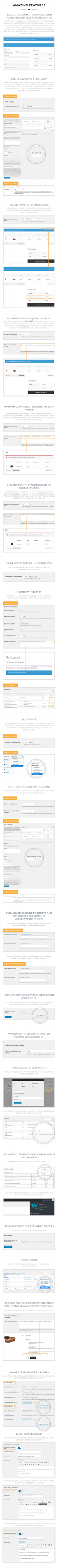 Screenshot 2023-12-06 at 17-22-36 Bravo - WooCommerce Points and Rewards - WordPress Plugin.png