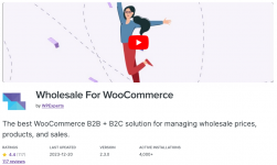Screenshot 2024-01-12 at 13-58-08 Wholesale For WooCommerce - B2B & B2C Ecommerce Solution.png