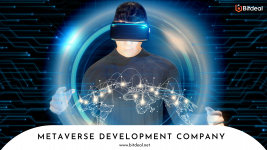 metaverse-development-company.png