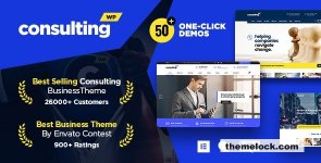 1689824140_consulting-business-finance-wordpress-theme.jpg