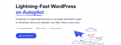 Screenshot 2024-01-19 at 11-24-49 FlyingPress – Lightning-Fast WordPress on Autopilot.png