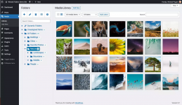 Screenshot 2024-01-25 at 18-02-50 WordPress Media Library Folders Plugin - Wicked Folders.png