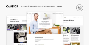 Screenshot 2024-02-03 at 15-30-54 Candor - Responsive WordPress Blog Theme.png