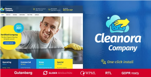 Screenshot 2024-02-03 at 17-08-11 Cleanora - Cleaning Services WordPress Theme.png