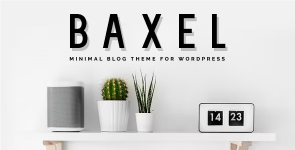 Screenshot 2024-02-03 at 17-43-36 Baxel - Minimal Blog Theme for WordPress.png