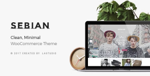 Screenshot 2024-02-03 at 17-58-32 Sebian - Multi-purpose WordPress WooCommerce Theme.png