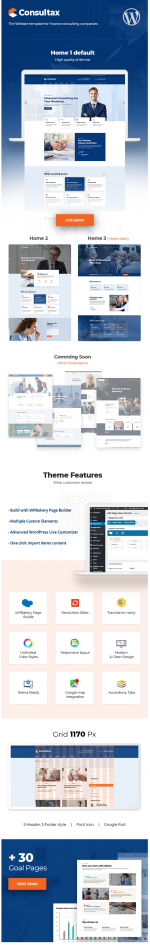 Screenshot 2024-02-09 at 13-30-53 Consultax - Financial & Consulting WordPress Theme.png