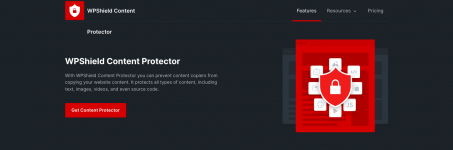 Screenshot 2024-02-10 at 14-54-02 WPShield Content Protector - WP Shield.png