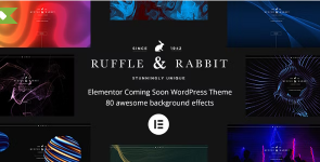 Screenshot 2024-02-18 at 14-11-07 Rabbit - Elementor Coming Soon WordPress Theme.png