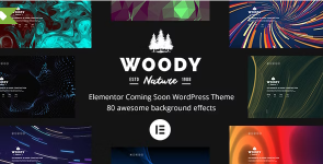 Screenshot 2024-02-21 at 15-42-48 Woody - Elementor Coming Soon WordPress Theme.png