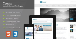 Screenshot 2024-03-05 at 13-14-08 Centita - Minimalist Business Template.png