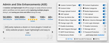 Screenshot 2024-03-10 at 15-32-59 Admin and Site Enhancements (ASE) for WordPress.png