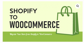 Screenshot 2024-03-14 at 16-14-13 S2W - Import Shopify to WooCommerce - Migrate from Shopify t...png