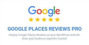 Screenshot 2024-03-16 at 15-02-59 Google Places Reviews Pro WordPress Plugin.png