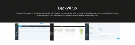 Screenshot 2024-03-17 at 16-25-28 BackWPup Plugin for MainWP WordPress Management.png