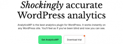 Screenshot 2024-03-19 at 15-49-48 AnalyticsWP #1 WordPress Analytics Plugin.png