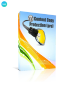 Screenshot 2024-03-19 at 16-24-46 WP Content Copy Protection & No Right Click (PRO).png