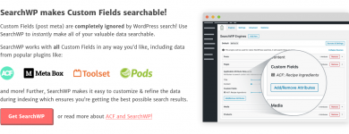 Screenshot 2024-03-21 at 17-10-31 SearchWP - World's Best WordPress Search Plugin.png