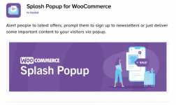 Screenshot 2024-03-31 at 18-29-21 Splash Popup for WooCommerce - WooCommerce Marketplace.png