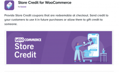 Screenshot 2024-03-31 at 18-44-44 Store Credit for WooCommerce - WooCommerce Marketplace.png