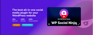 Screenshot 2024-04-04 at 16-44-12 WP Social Ninja The Best Social Media Plugin - WP Social Ninja.png