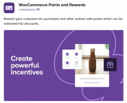 Screenshot 2024-04-07 at 15-44-39 WooCommerce Points and Rewards - WooCommerce Marketplace.png