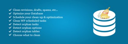 WordPress Advanced Database Cleaner.jpg