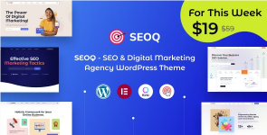 Screenshot 2024-04-22 at 17-26-02 SEOQ – SEO & Digital Marketing Agency WordPress Theme.png