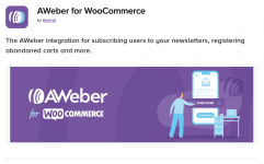 Screenshot 2024-05-07 at 16-43-39 AWeber Newsletter Subscription – WooCommerce.png