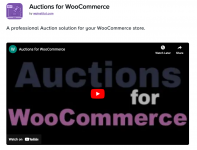 Screenshot 2024-05-07 at 16-50-37 Auctions for WooCommerce.png