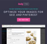 Screenshot 2024-05-09 at 12-03-43 Tasty Pins - The WordPress Pinterest plugin for SEO and Scre...png