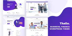 Screenshot 2024-05-11 at 17-37-46 Thallo – Consulting & Finance WordPress Theme.png