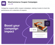 Screenshot 2024-05-13 at 13-35-55 WooCommerce Coupon Campaigns.png
