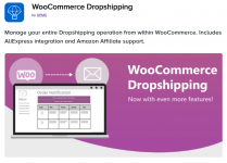 Screenshot 2024-05-13 at 13-40-19 WooCommerce Dropshipping.png