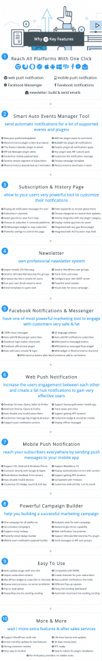 Screenshot 2024-05-22 at 14-07-16 Smart Notification Wordpress Plugin. Web & Mobile Push FB Me...png