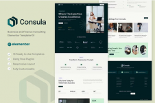 Screenshot 2024-05-22 at 16-09-42 Consula - Business and Finance Consulting Elementor Template...png