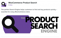 Screenshot 2024-05-24 at 15-09-33 WooCommerce Product Search.png