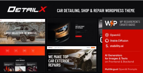 Screenshot 2024-05-27 at 15-34-16 DetailX - Car Detailing Shop & Repair Theme.png