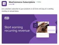 Screenshot 2024-05-28 at 18-33-39 WooCommerce Subscriptions.png