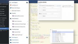 Screenshot 2024-05-31 at 11-11-11 WordPress Code Snippets with Cloud Support WPCodeBox.com.png