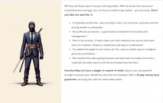 Screenshot 2024-06-01 at 14-27-21 Complete WordPress website security - Security Ninja.png