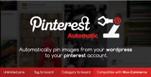 Screenshot 2024-06-01 at 14-46-40 Pinterest Automatic Pin Wordpress Plugin.png