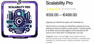 Screenshot 2024-06-01 at 14-51-24 Scalability Pro - Super Speedy Plugins.png