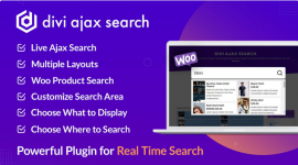 Screenshot 2024-06-05 at 11-54-13 Divi Ajax Search Divi Extensions.png