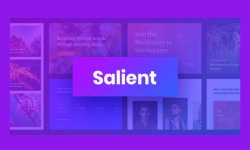 Salient-WordPress-theme.jpg