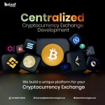 Centralized Cryptocurrency Exchange Development.jpg